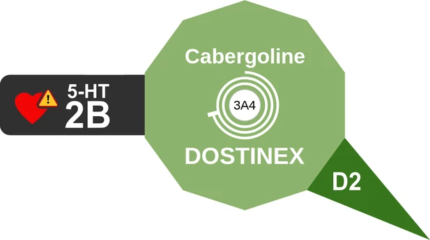 Cabergoline ballicule — decagon mechanism diagram