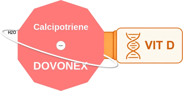 Calcipotriene ballicule — decagon mechanism diagram