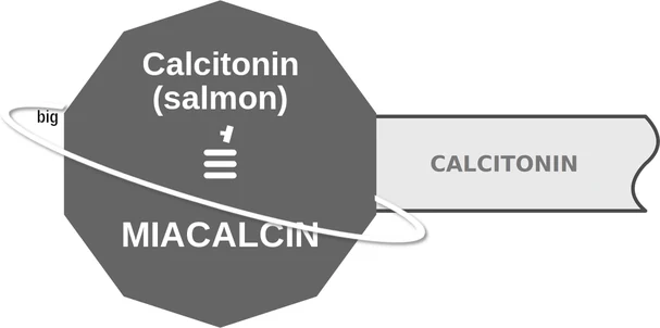 Calcitonin (salmon) ballicule — decagon mechanism diagram