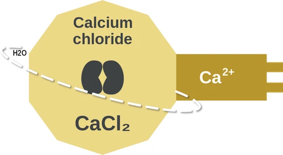 Calcium chloride ballicule — decagon mechanism diagram