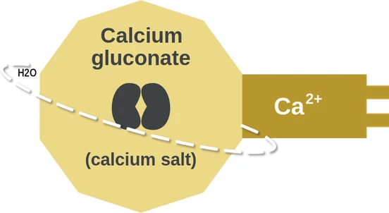 Calcium gluconate ballicule — decagon mechanism diagram