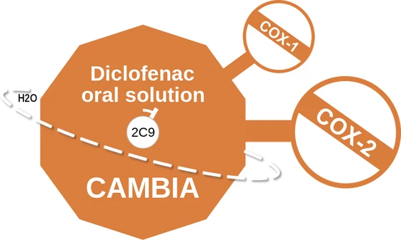 Diclofenac oral solution ballicule: receptor binding, kinetics and half-life diagram