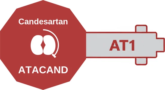 Candesartan ballicule — decagon mechanism diagram