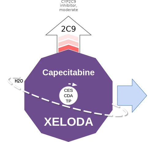 Capecitabine ballicule — decagon mechanism diagram