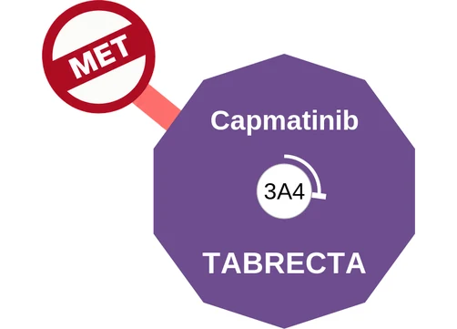 Capmatinib ballicule: receptor binding, kinetics and half-life diagram
