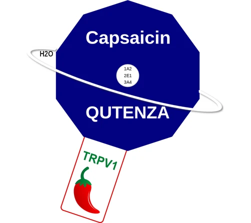 Capsaicin ballicule — decagon mechanism diagram