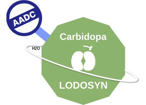 Carbidopa ballicule: receptor binding, kinetics and half-life diagram
