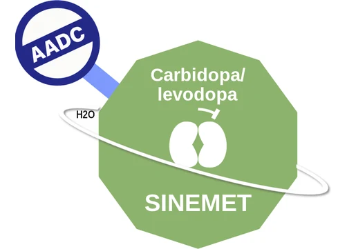 Carbidopa/ levodopa ballicule: receptor binding, kinetics and half-life diagram