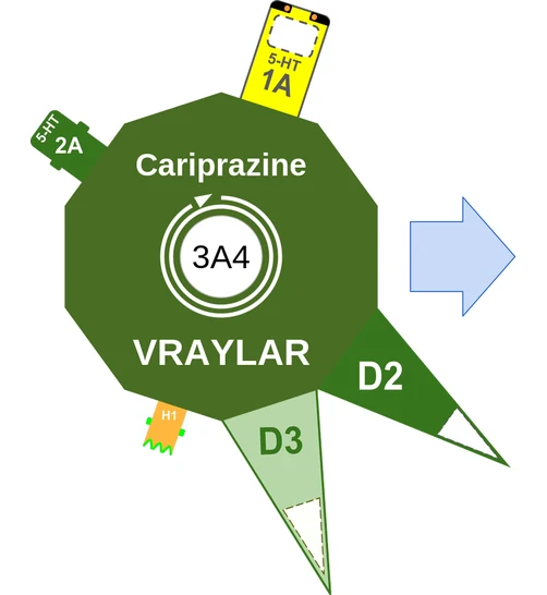 Cariprazine ballicule — decagon mechanism diagram