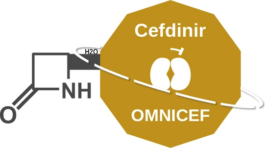 Cefdinir ballicule: receptor binding, kinetics and half-life diagram