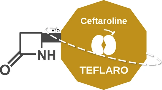 Ceftaroline ballicule — decagon mechanism diagram