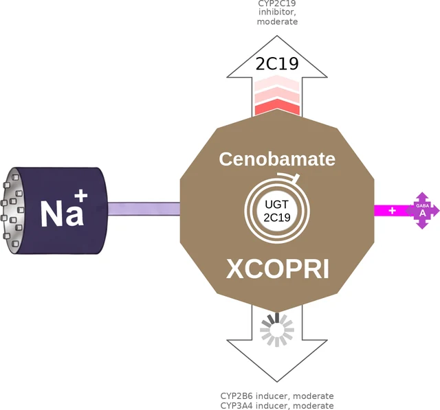 Cenobamate ballicule — decagon mechanism diagram