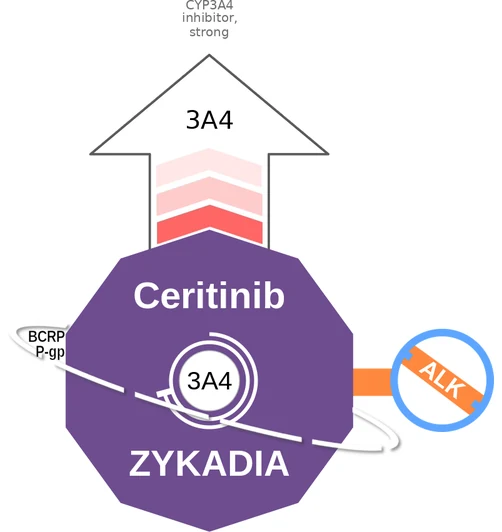 Ceritinib ballicule: receptor binding, kinetics and half-life diagram