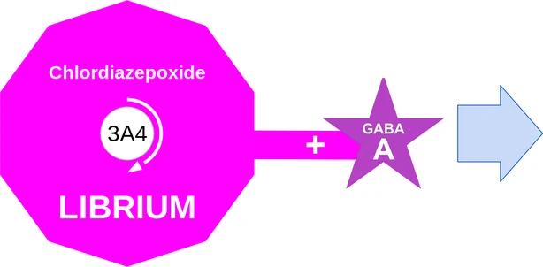 Chlordiazepoxide ballicule: receptor binding, kinetics and half-life diagram