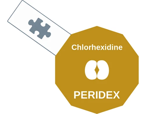 Chlorhexidine ballicule: receptor binding, kinetics and half-life diagram