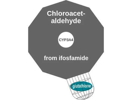 Chloroacet aldehyde ballicule: receptor binding, kinetics and half-life diagram