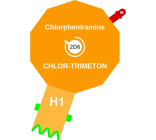 Chlorpheniramine ballicule — decagon mechanism diagram