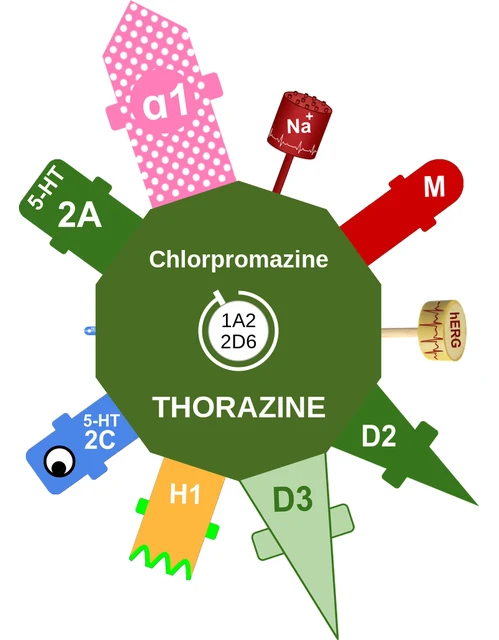 Chlorpromazine ballicule — decagon mechanism diagram