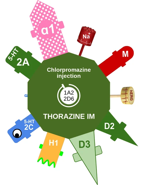Chlorpromazine injection ballicule — decagon diagram of its receptor and enzyme targets