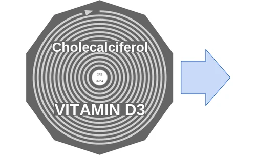 Cholecalciferol ballicule: receptor binding, kinetics and half-life diagram