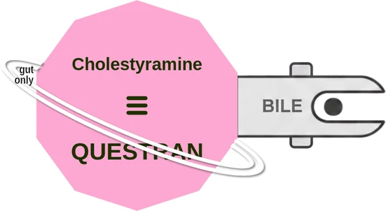 Cholestyramine ballicule — decagon mechanism diagram