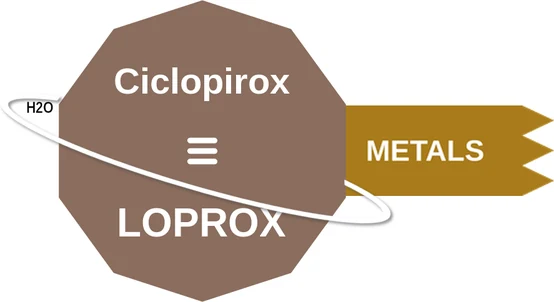 Ciclopirox ballicule: receptor binding, kinetics and half-life diagram
