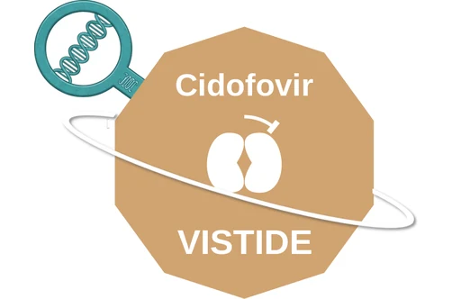 Cidofovir ballicule — decagon mechanism diagram