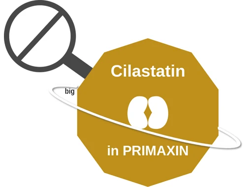 Cilastatin ballicule: receptor binding, kinetics and half-life diagram