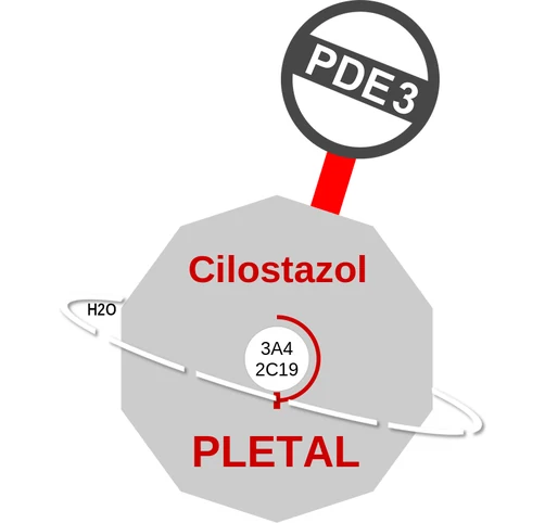 Cilostazol ballicule: receptor binding, kinetics and half-life diagram