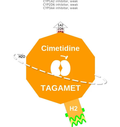 Cimetidine ballicule: receptor binding, kinetics and half-life diagram