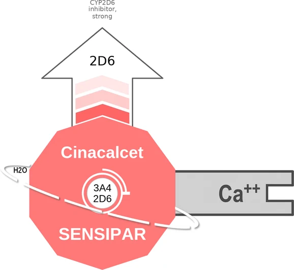 Cinacalcet ballicule — decagon mechanism diagram