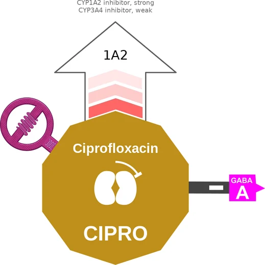 Ciprofloxacin ballicule — decagon mechanism diagram