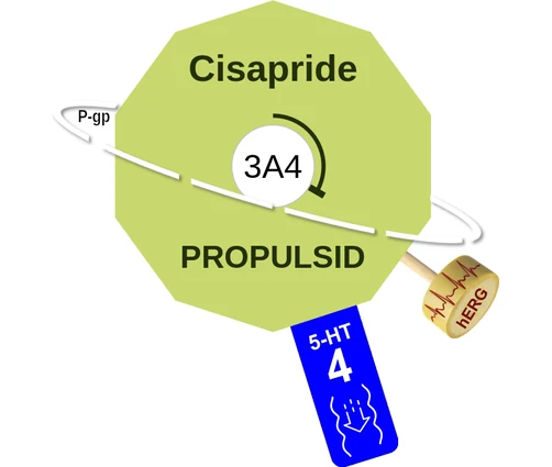 Cisapride ballicule — decagon mechanism diagram
