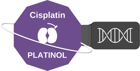Cisplatin ballicule: receptor binding, kinetics and half-life diagram