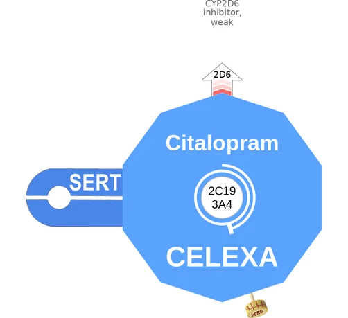 Citalopram ballicule — decagon mechanism diagram