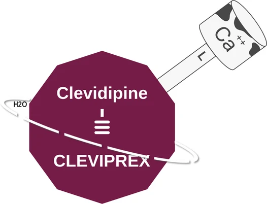 Clevidipine ballicule — decagon mechanism diagram