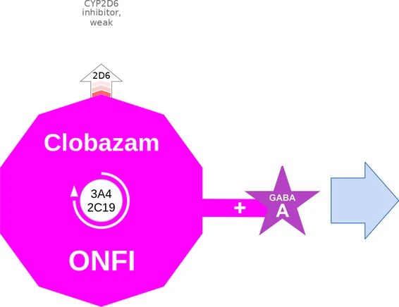 Clobazam ballicule — decagon mechanism diagram