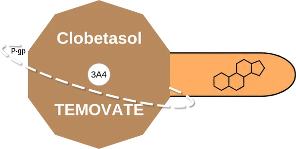 Clobetasol ballicule — decagon mechanism diagram
