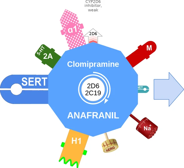 Clomipramine ballicule — decagon mechanism diagram