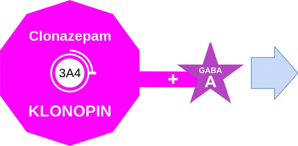 Clonazepam ballicule — decagon mechanism diagram