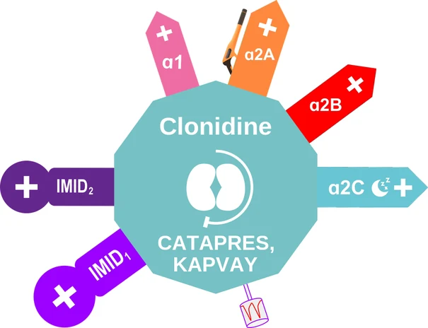 Clonidine ballicule — decagon mechanism diagram