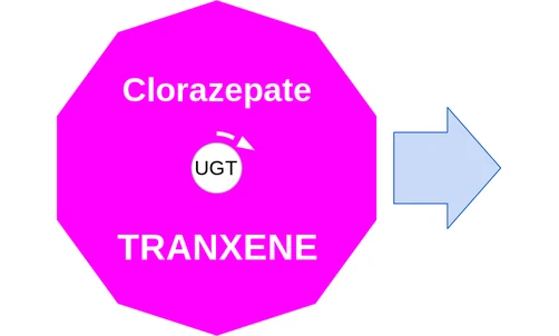 Clorazepate ballicule — decagon mechanism diagram