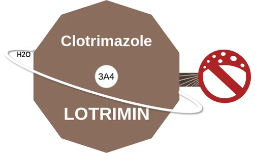 Clotrimazole ballicule — decagon mechanism diagram