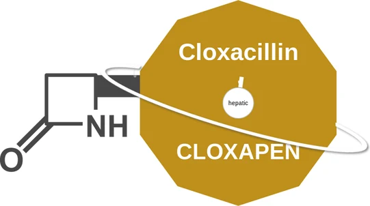 Cloxacillin ballicule — decagon mechanism diagram