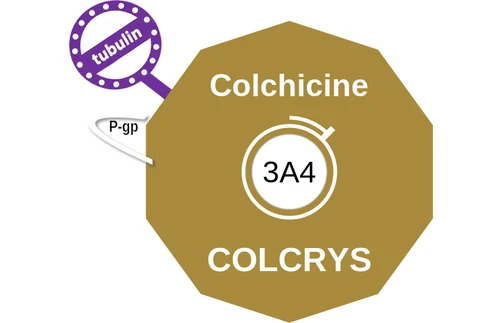 Colchicine ballicule: receptor binding, kinetics and half-life diagram