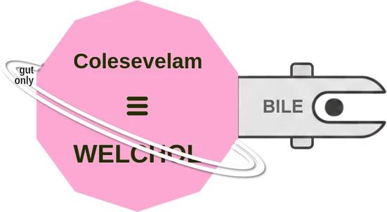 Colesevelam ballicule — decagon mechanism diagram