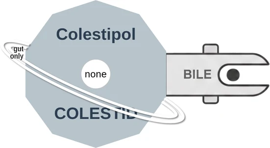 Colestipol ballicule — decagon mechanism diagram