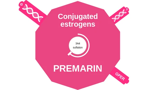 Conjugated estrogens ballicule — decagon mechanism diagram