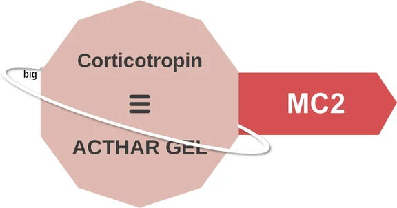 Corticotropin ballicule — decagon mechanism diagram