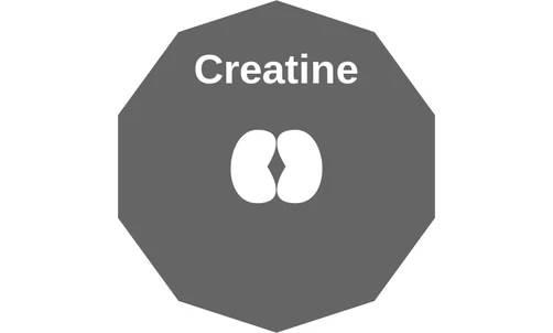Creatine ballicule: receptor binding, kinetics and half-life diagram